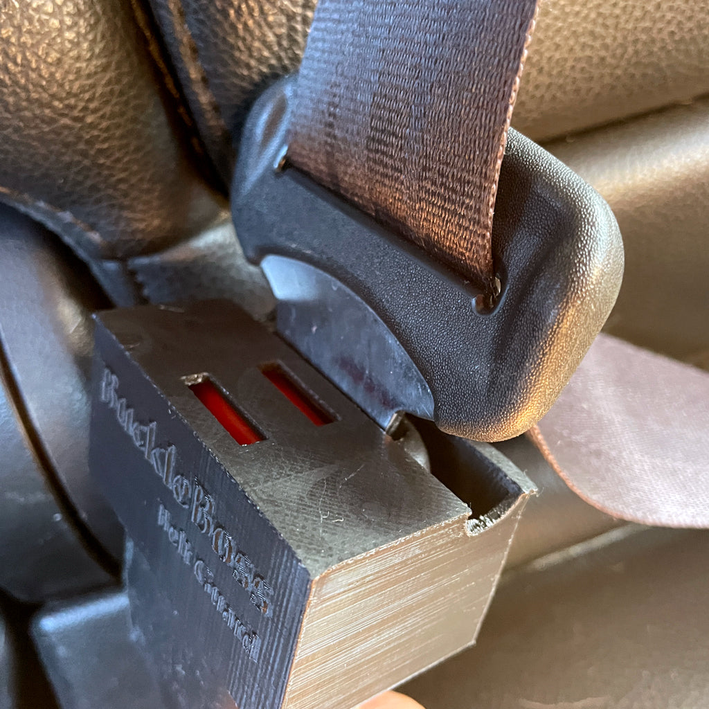 Car seat deals belt guard